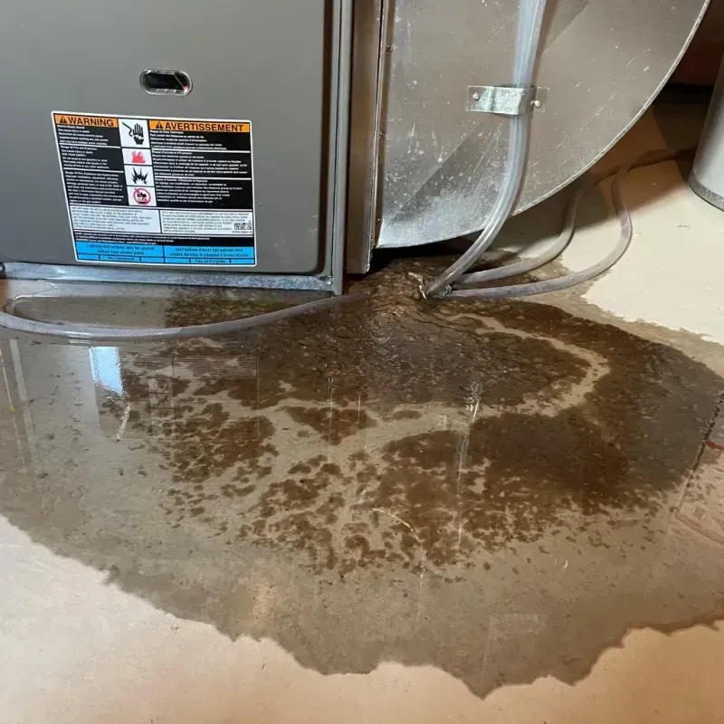 Appliance Leak Cleanup in Pittsboro, NC